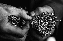 Portrait of the Last Bicycle Repairman II by Gabor Kapolka