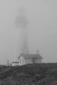 Oregon-Fog @ Yaquina Head by William L. Witmer