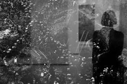 Salgado and I by Elisabeth Groat
