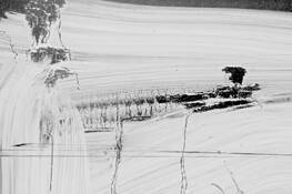 And the Earth Put Forth Grass by Gabriel Leither