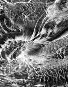 Sand Pattern #2 Solana Beach by Jerry Kay