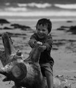 Ride 'Im Cowboy by Scott Fowler