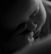 Precious Life by Siobhan McClory