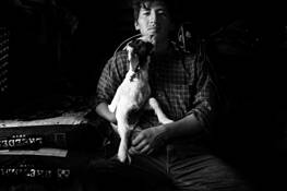 Ronaldo by Susan Hayre Thelwell