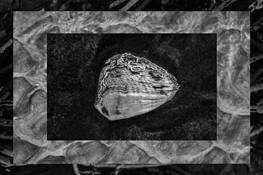 Ethereal Moonlight No 8 by Beverly LaRock