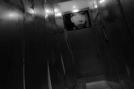 Trapped by Elisabeth Groat