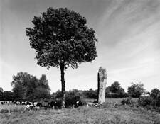Menhir at Kerjean by James M. Via