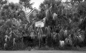 Nature's Game by Kevin Bruce Parent