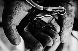 Whistle by Meg Porter