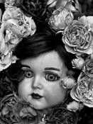 Silvia With Old Roses and Buds by Patrisha McLean