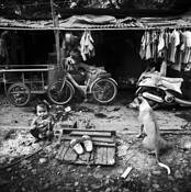 The Suspicious Snacking Girl by Lung S. Liu