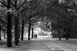 The Stroll by Randall Howlett