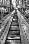 Country Road to the Past by William Rainey