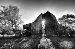 Moment in Time by William Rainey