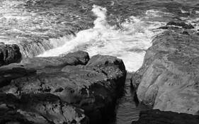 Oregon-Cape Arago by William L. Witmer