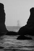 Oregon-Splash by William L. Witmer