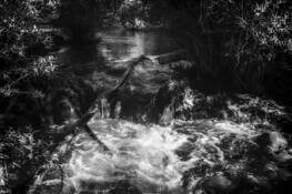 A Moody Creek by William Shull
