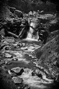 Broken Dam by William Shull
