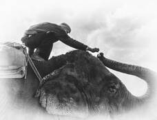 Snack Time by Beverly LaRock