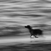 Beach Run by Byong-Ho