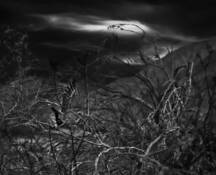 Perilous Flight by Francine Filsinger