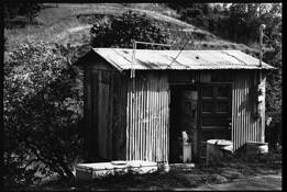 Cat in a Shack by Jake Hart