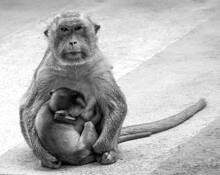 Maternity by Lee Grossman