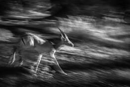 Seventh Sense by Marilyn Maxwell