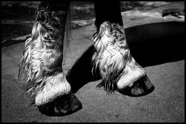 Untitled 3 by Peter Erhard