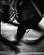 Rider by Tyler Vance