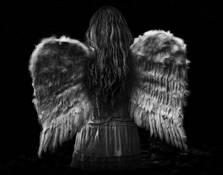 Untitled 2 by Jane Vickers