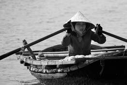 The Row by Kathy Mott