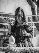 Carnival by Larry E. Jones