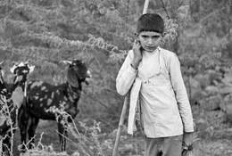 Rabari Shepard by Louis Kravitz