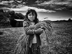 Wheat Girl by Marilyn Canning