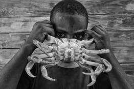 Crab Eyes by Pedro Genaro Rodriguez