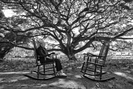 Good Memories Under the Rain Tree by Pedro Genaro Rodriguez