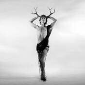 Hunted by Peter Madero III