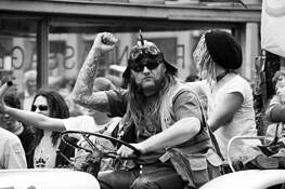 Vienna Rage by Peter Manning