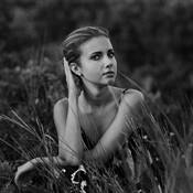 The High Grass by Vera Belyavskaya