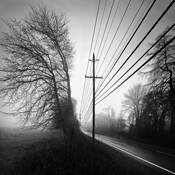 Fog by William Brennan