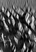 Nylon Netting by Allan Goodman