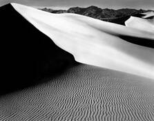 Mesquite Dunes by Evan Powell