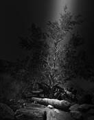 Let There Be by Francine Filsinger