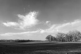 Along Almond Road by John Wylie