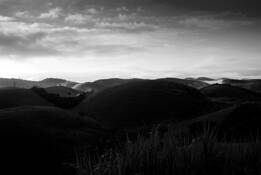 Once Upon a Time a Rain Forest by Karina Sechi Serboff