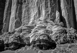 Natures Foot by Philip F. Metcalf