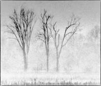 Fog Along the Potomac River by Stephen Clark