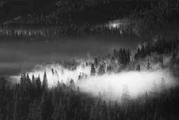 Untitled 9 by Youngsook Chung Zhang