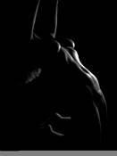 Claire CXV by Michael Ian Goulding